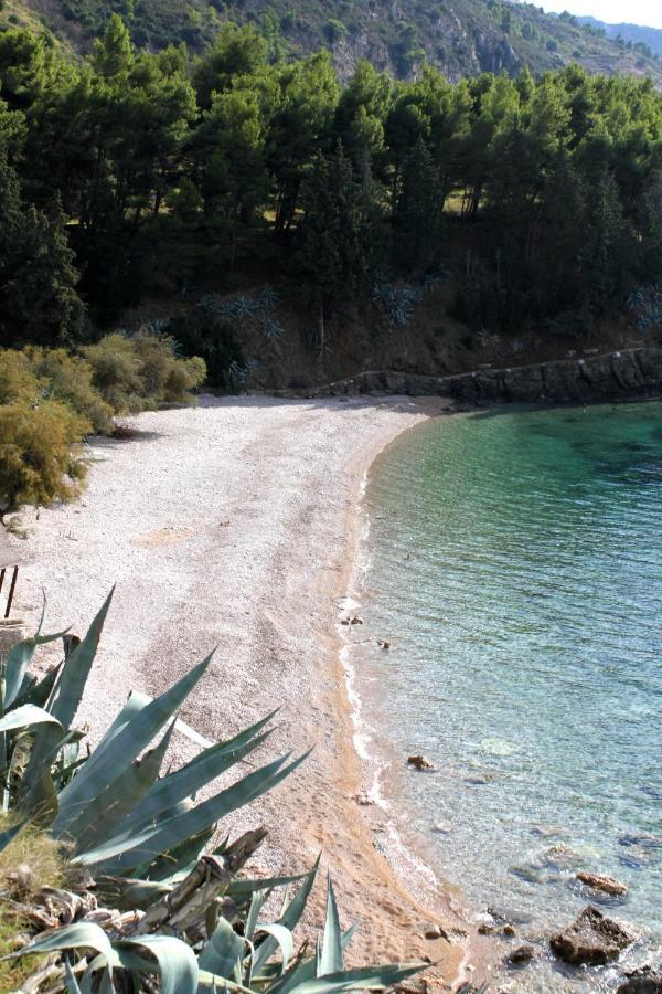 Apartments By The Sea Komiza, Vis - 8533 Exterior foto